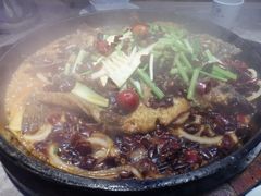 -老板恋上鱼(恒隆广场店)