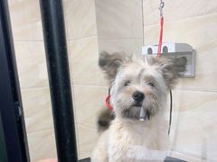 -安安宠医·安宠宠物医院