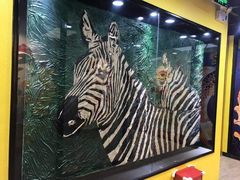 -杨梅红艺术教育(万象城校区)