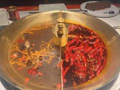 -小龙翻大江文化火锅(宽窄店)