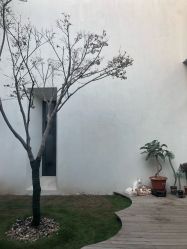 -禧园Joyous Garden ·宴会厅(禧园店)