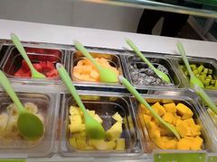 -Salud撒露欧洲冻酸奶(798艺术区店)