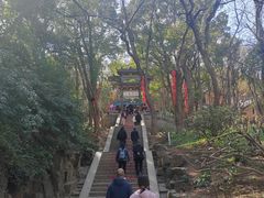 -贡湖湾湿地公园