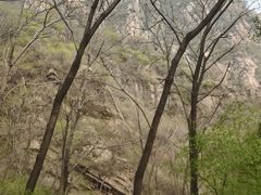 -大岭沟猕猴桃谷风景区