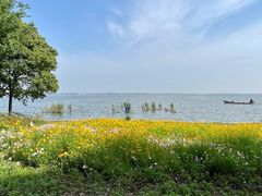 -阳澄湖半岛旅游度假区