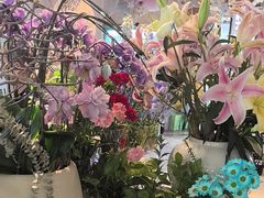 -春暖花开(西溪店)