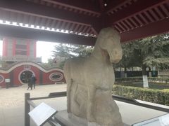 -茂陵博物馆