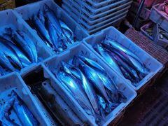 -青岛市本溪路农贸市场