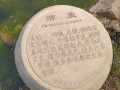 -前关湿地公园