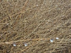 -东钱湖旅游度假区