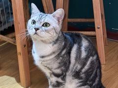 -觅时光手作·香薰·拼豆豆·陶艺DIY