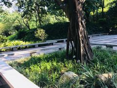 -晓港公园