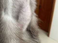 -小伙伴宠物医院•急重症转诊中心·老年专科·犬猫全科(北大街总院)