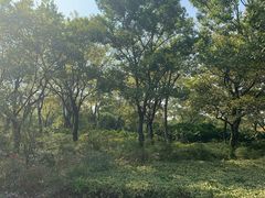 -九里河湿地公园