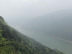 -江湖黑大兔(杨家坪店)