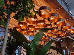 大堂-the rug 飞毯 (朝阳公园店)
