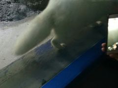 -临沂极地海洋王国