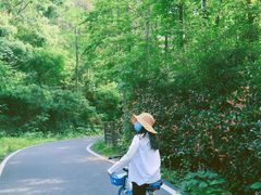 -青龙山国家森林公园