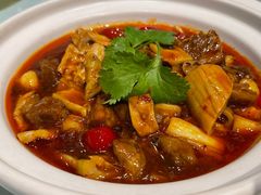 笋干烧牛腩-渝信川菜 · 川味家常菜(财富购物中心店)