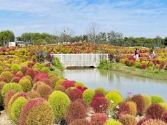 -花开海上生态园