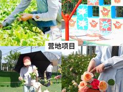 -栖露营camping·天幕烧烤·团建拓展·采摘营地