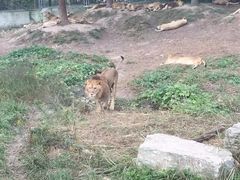 -野生动物园-停车场