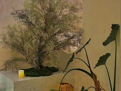 -HUATA 'Holiday Plan 花榻