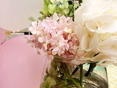 iphone_upload_pic-茉莉
