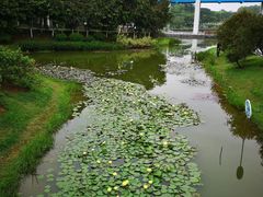 -东莞植物园