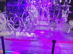 -松江大学城体育馆滑冰馆