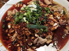 -中和裴氏蹄花(府河路店)