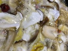 -菌之家·专业纯野生菌火锅·特色炒菌