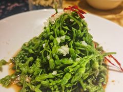 葱油夜香花-茶人村·宫廷私厨(奥体印象城店)