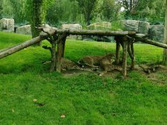 -北京野生动物园