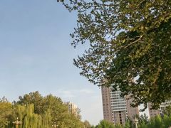 -西清公园