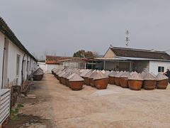 -苏州市吴中区光福窑上花果蜜饯厂