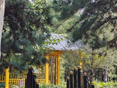 -太阳宫公园
