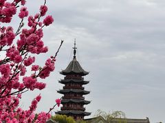 -盘门景区