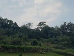 -巢湖姥山岛