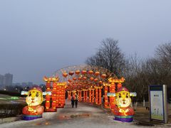 -沈阳奥体冰雪嘉年华