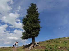 -新疆那拉提国家旅游度假区