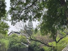 -柳侯公园