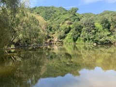 -九如山休闲旅游度假区