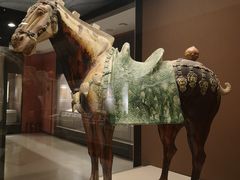 -西安大唐西市博物馆