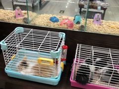 -乐宠宠物店(世纪金源店)
