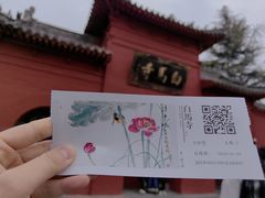 -洛阳白马寺