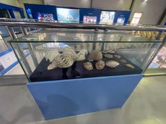 -上海海洋大学鱼文化博物馆(军工路校区)