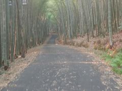 -苏州环秀晓筑养生度假村