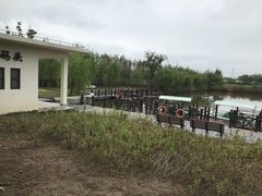 -上海长兴岛郊野公园