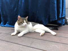 -UNI UNI(环亚凯瑟琳店)